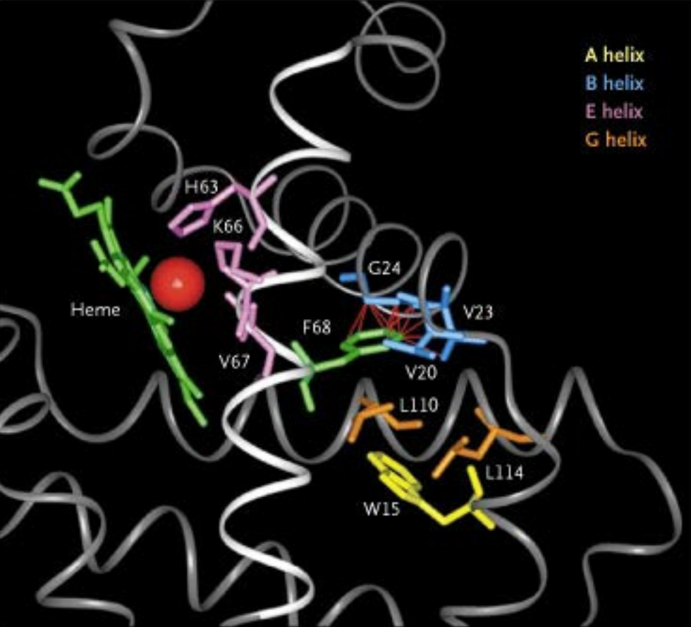 DNA structure of Jamaica Plain