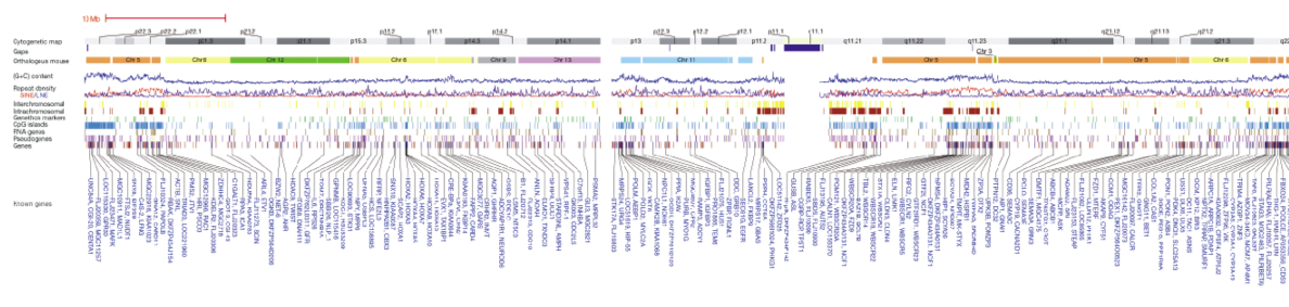 DNA sparklines