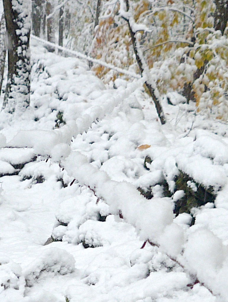 Snow