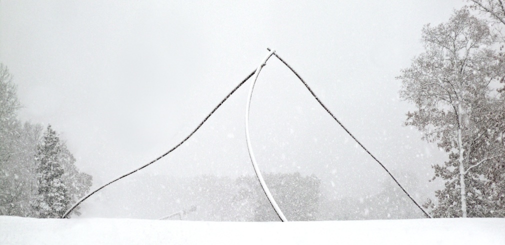 Twig in the snow