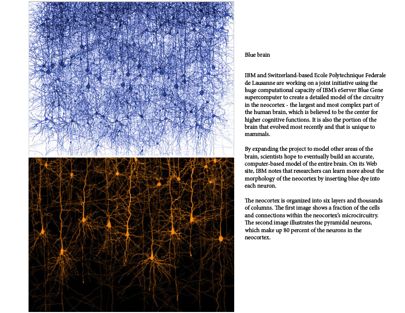 Blue brain