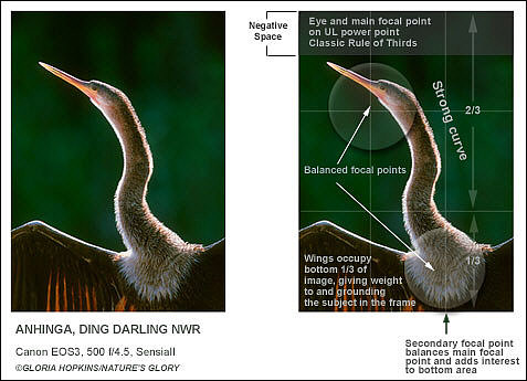 mapping photographic composition
