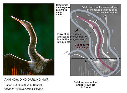 mapping photographic composition