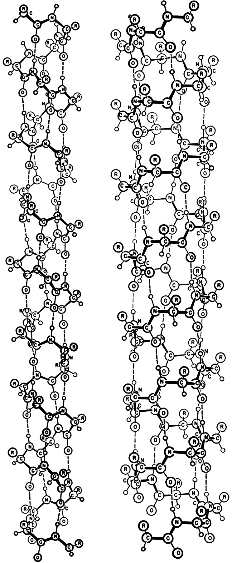 polypeptide